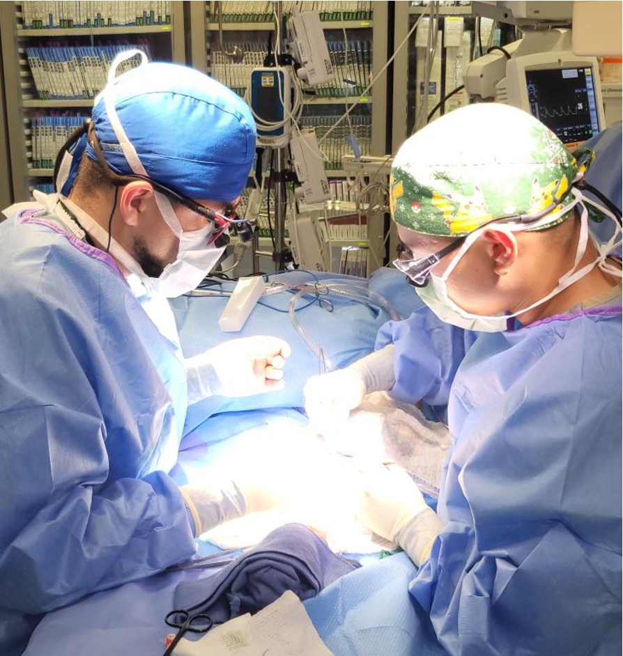 Vascular surgeons completing a surgery